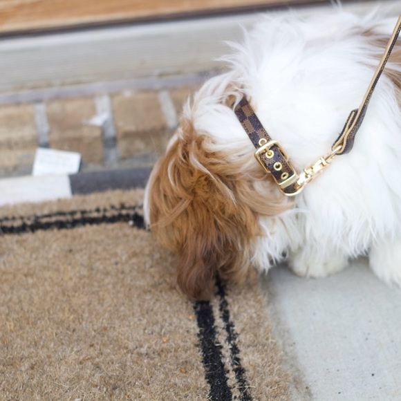 Checkered designer style dog collar & leash set - Picture 3 of 4